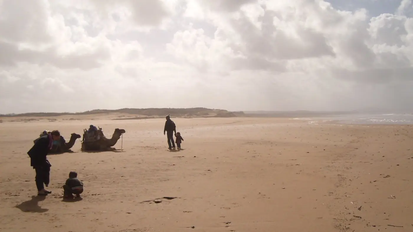 12 Tage Südmarokko Atlantik & Sahara Kamelpfade — Coastal Beach Camels